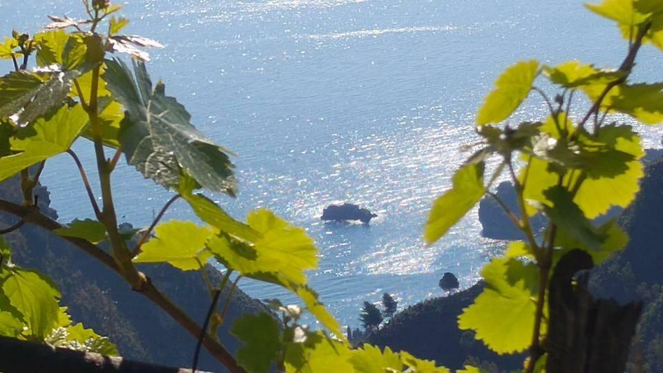 Casa Il Faro Villa Con Piscina Castelmola Eksteriør bilde